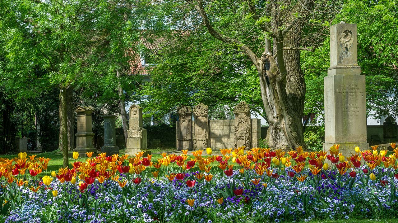 Umbettung Verstorbener Blumenbeet auf Friedhof