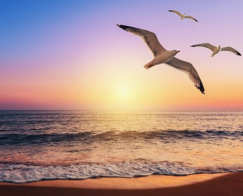 Todesfall im Ausland Todesfall im Ausland
