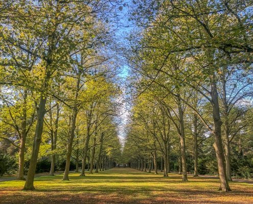 Stadtfriedhof Seelhorst