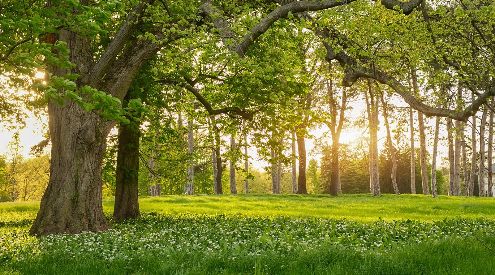 Bestattungsarten / Bestattungskosten