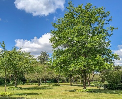 Stadtfriedhof Lahe