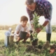 Opa zeigt Enkelkind, wie man eine Pflanze einpflanzt